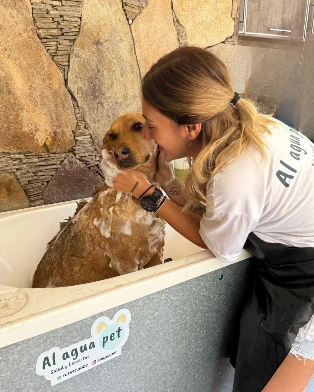 Baño en Al agua pet