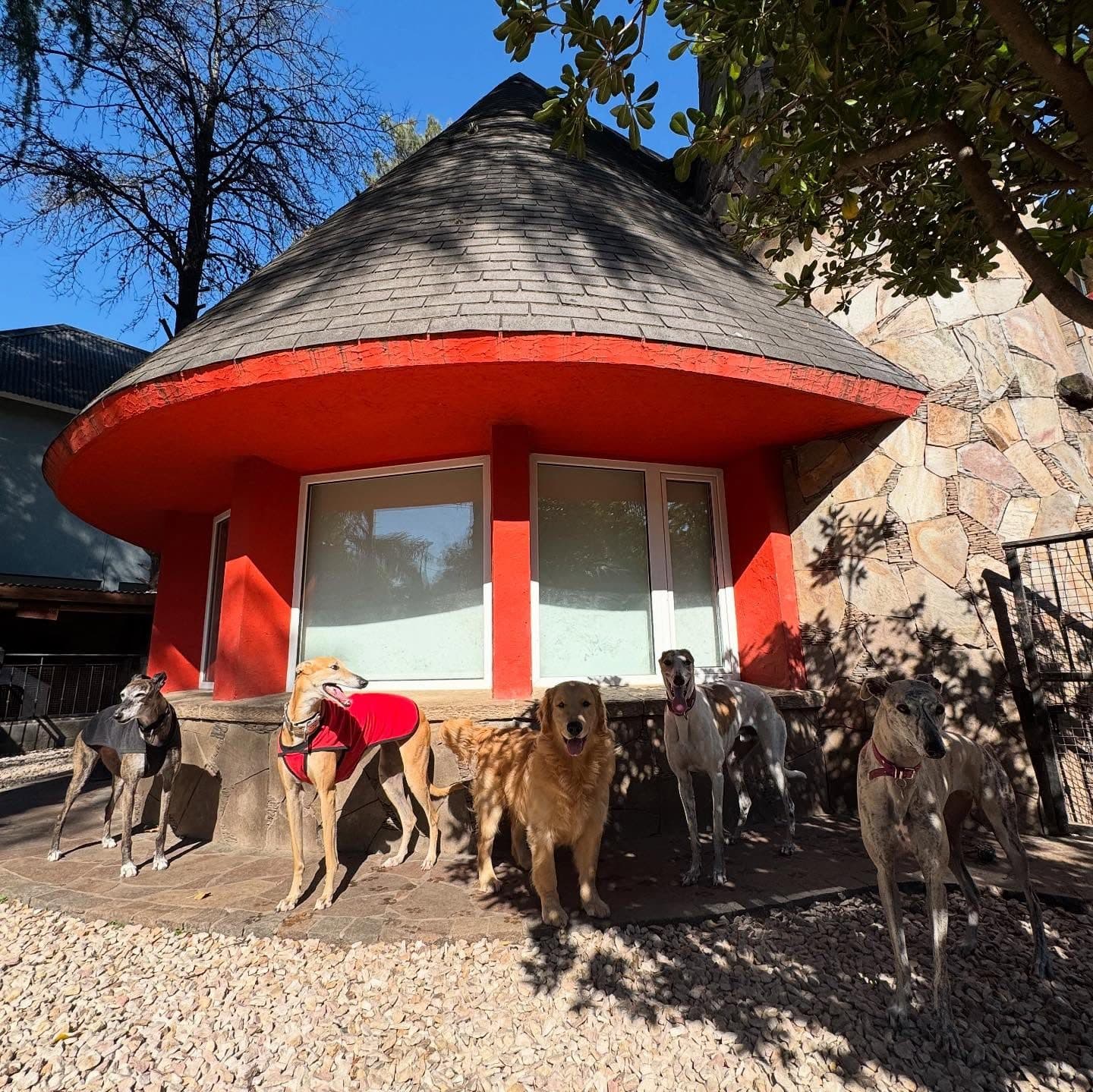 La casa de la Guardería del Parque con los perros